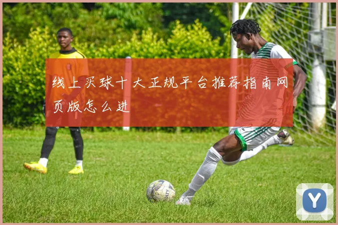 线上买球十大正规平台推荐指南网页版怎么进