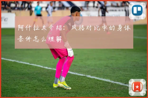 阿什拉夫介绍:风格对比中的身体条件怎么理解