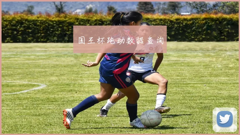 国王杯跑动数据查询