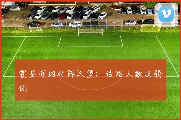 霍芬海姆对阵汉堡：边路人数攻弱侧