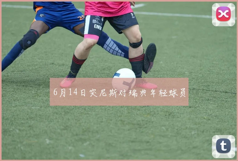 6月14日突尼斯对瑞典年轻球员