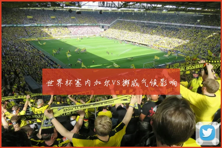 世界杯塞内加尔vs挪威气候影响