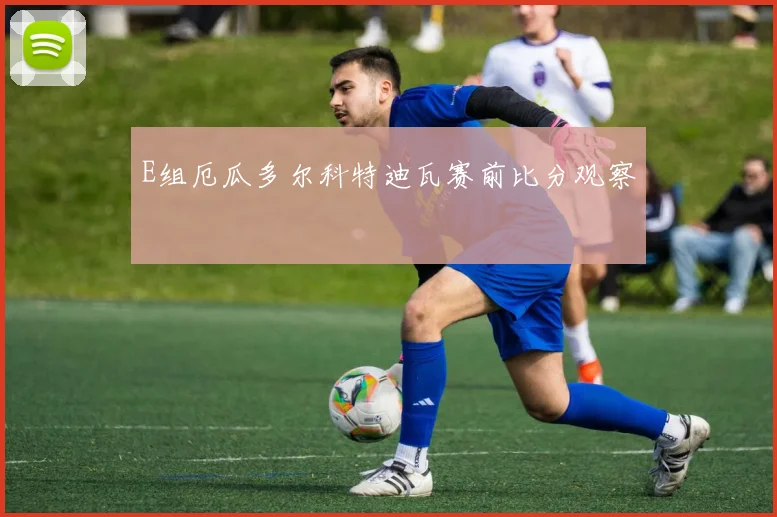 E组厄瓜多尔科特迪瓦赛前比分观察