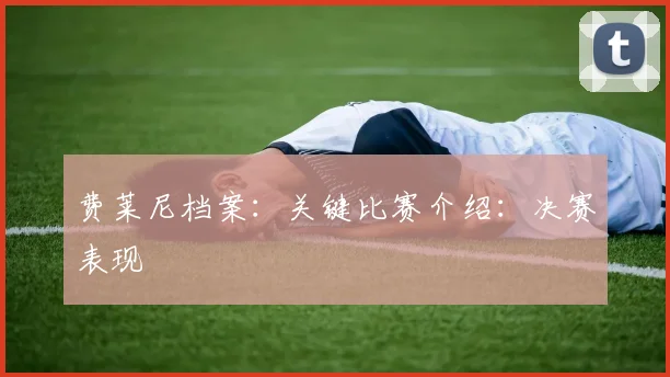 费莱尼档案:关键比赛介绍:决赛表现